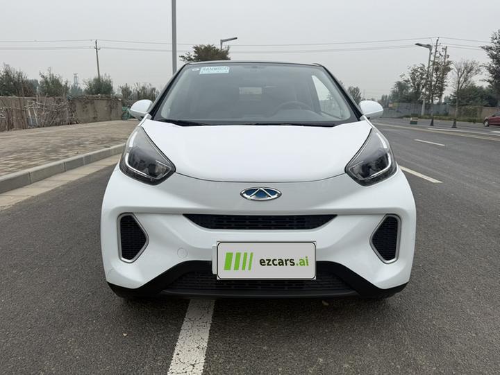 QQ Little Ant 2021 15 LFP photo 3