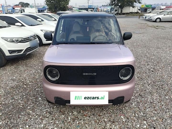 2024 Panda mini 200km Endurance Bear photo 2