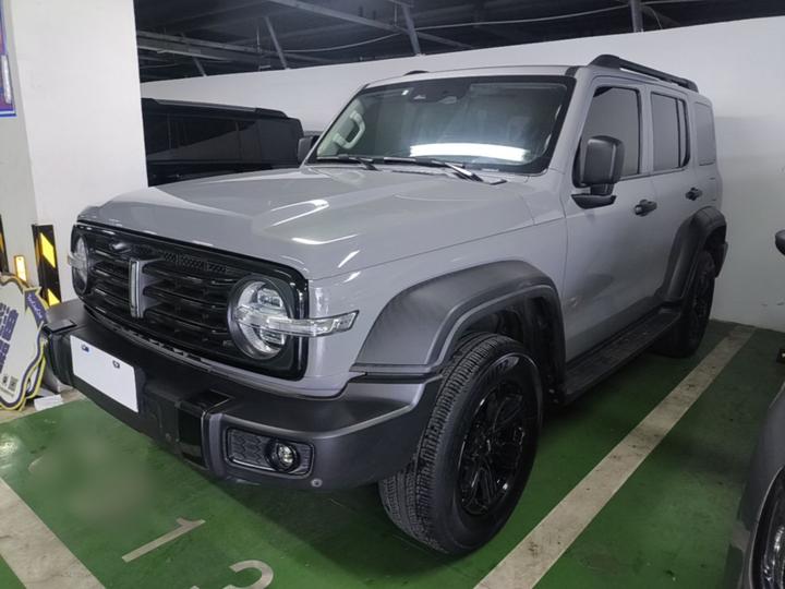 300 2021 Off-road 2.0T
