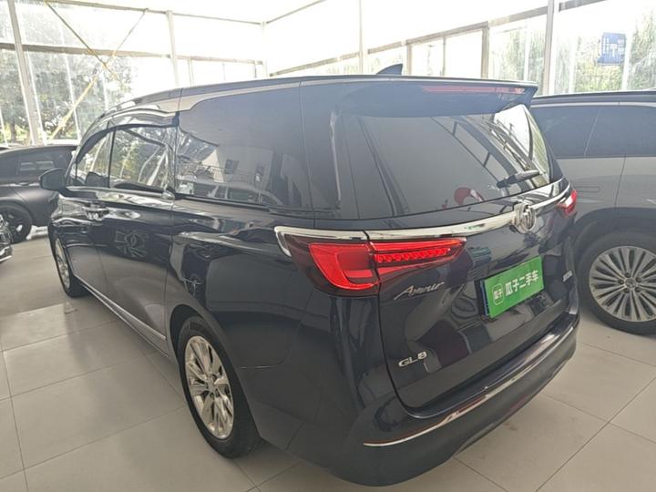 GL8 2020 Avenir 4-Seater photo 4