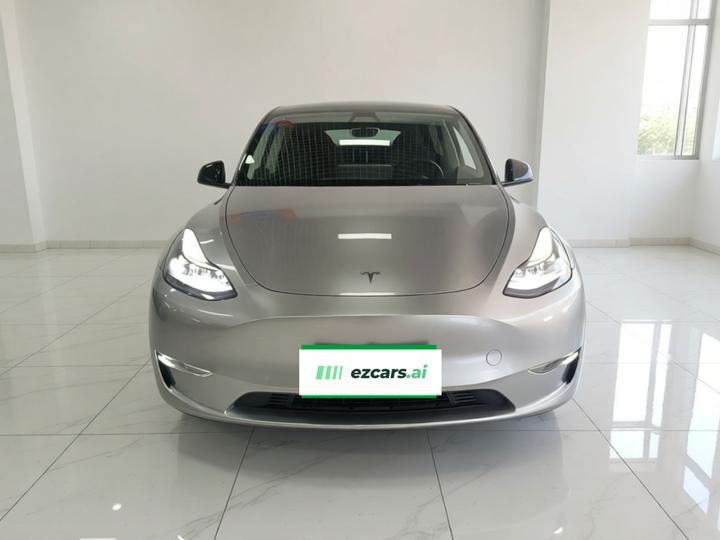 Model Y 2024 Long Range AWD photo 2