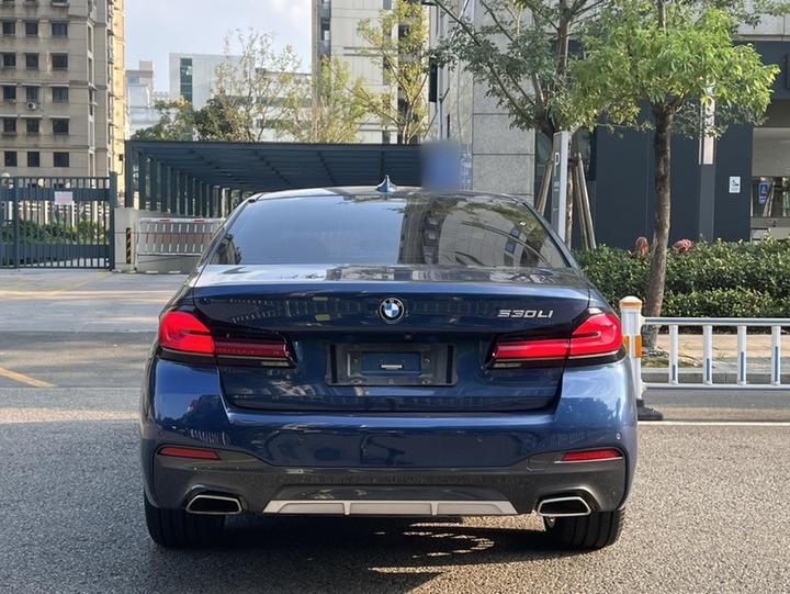 5 Series 2021 530Li Leading M Sport Package photo 6