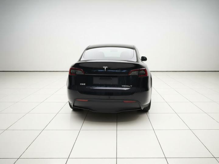 Model Y 2024 RWD photo 5