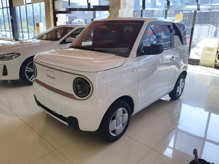 2024 Panda mini 200km Endurance Bear