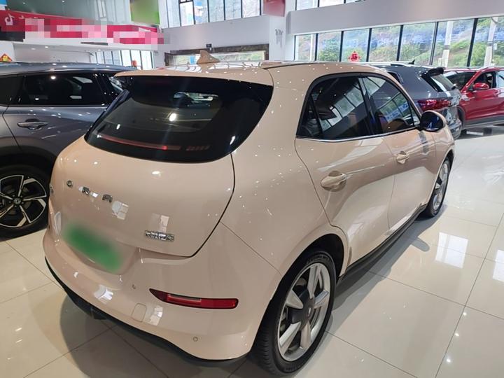 Good Cat 2023 401km Standard Range Premium LFP photo 6