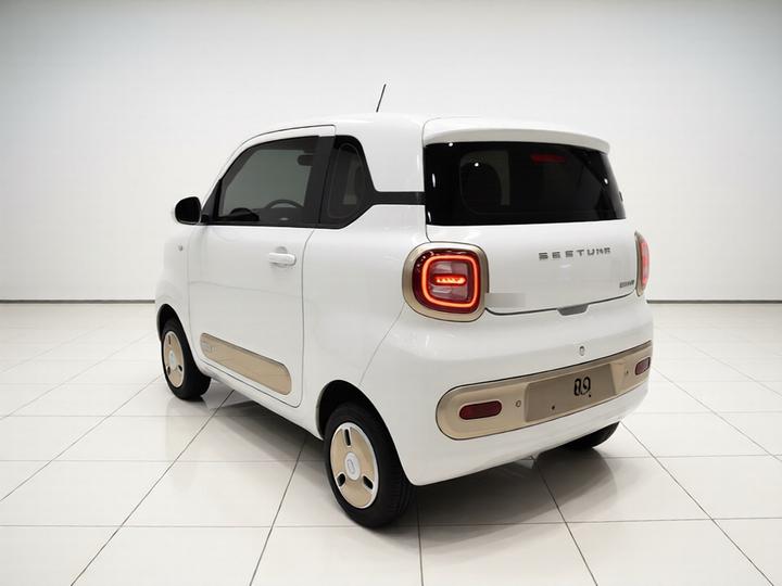 Bestune Pony 2026 222km Plus photo 4