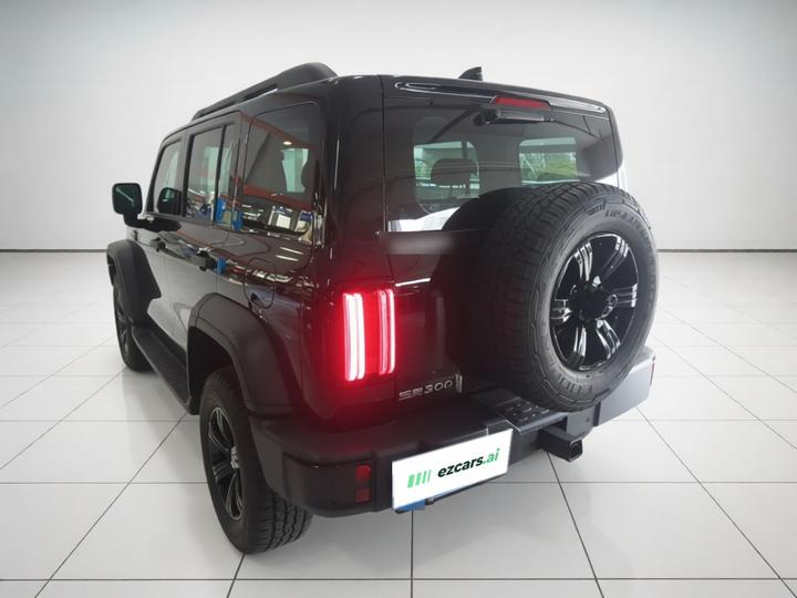 300 2025 2.0T Petrol Conqueror photo 5