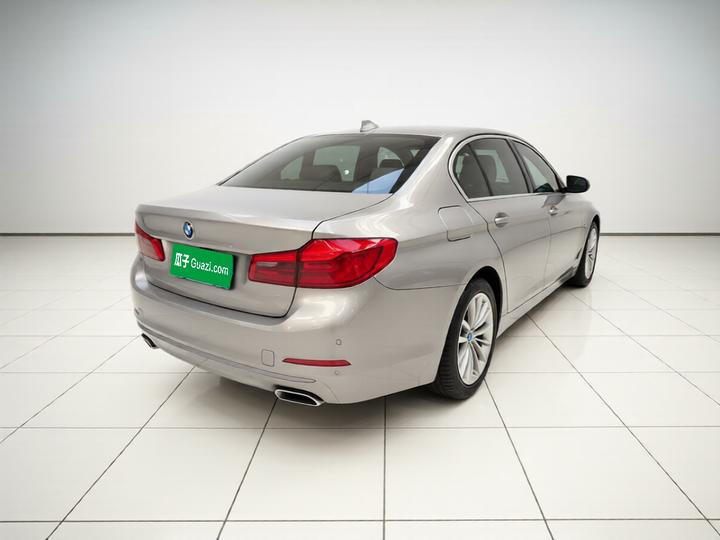 5 Series 2019 530Li Leading Luxury photo 6