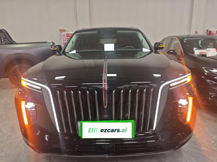 E-HS9 2021 460km 6-Seater photo 2