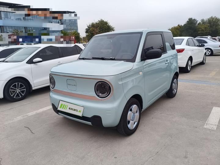 2024 Panda mini 200km Endurance Bear