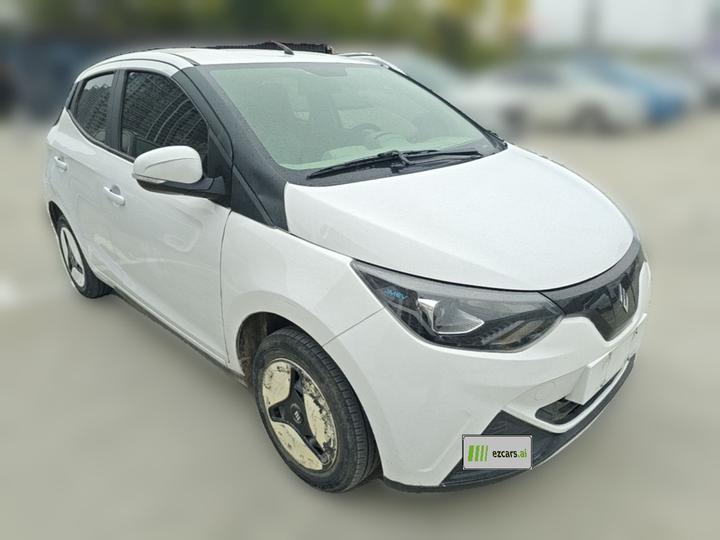 EV EV2 2024 201km Comfort photo 3