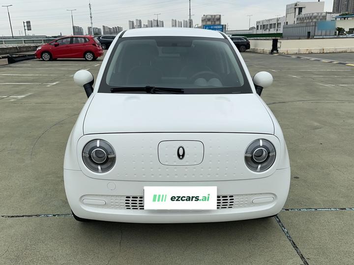 2022 Facelift 301km LFP photo 2
