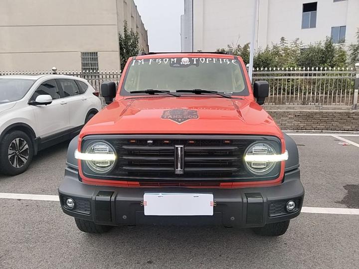 300 2021 Off-road 2.0T Conqueror photo 2