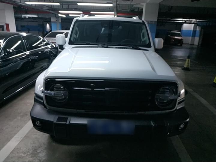 300 2024 2.0T photo 2