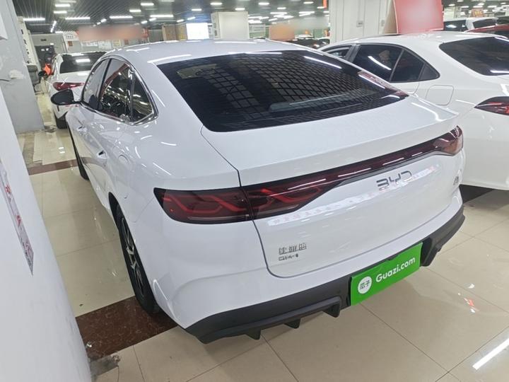 Qin L 2024 DM-i 80KM photo 4
