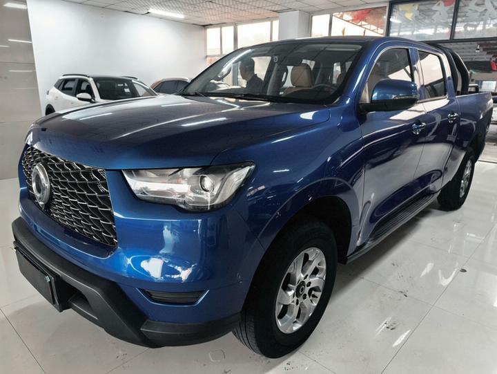 2021 2.0T MT Petrol RWD Elite GW4C20B