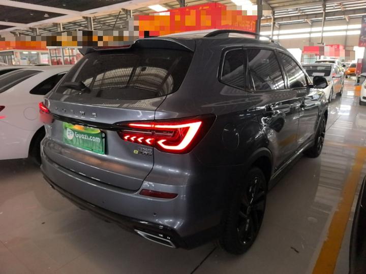 RX5 EV 2020 ePLUS Flagship photo 4