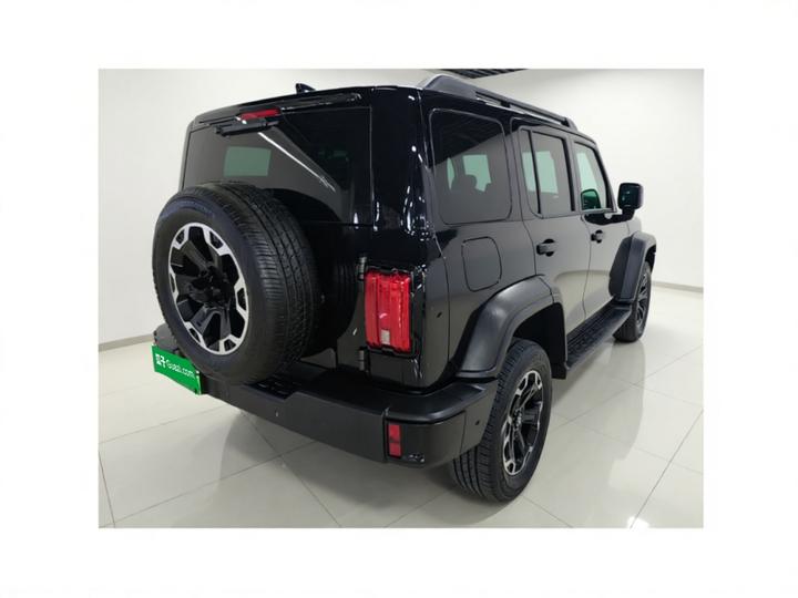 300 EV 2025 Hi4-T 37.1kWh photo 6