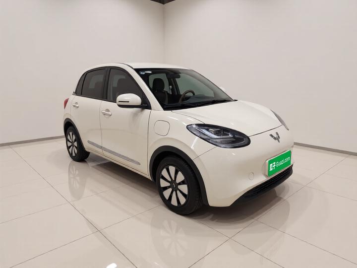 Wuling Bingo 2025 333km photo 3