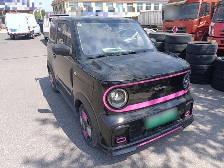 2025 210km Panda photo 3