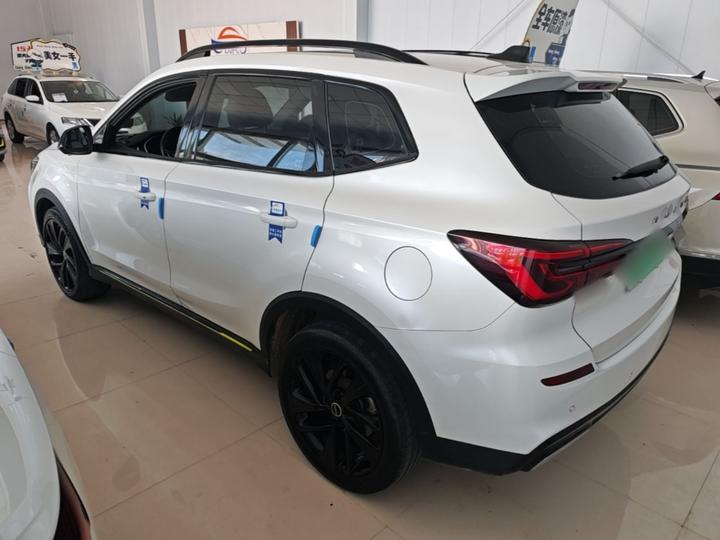 RX5 EV 2020 ePLUS Luxury photo 4