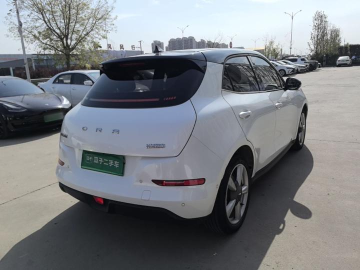 Good Cat 2021 400km Standard Range LFP photo 6