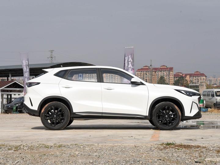 X5 PLUS 2025 1.5T DCT photo 3