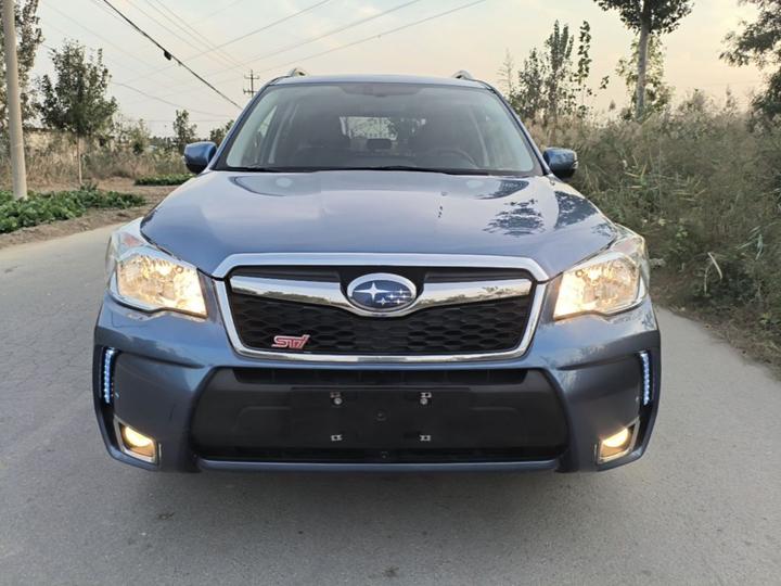Forester 2015 2.0i Anniversary Edition photo 2