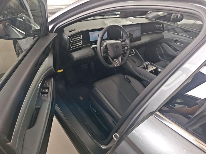 Qin L 2024 DM-i 80KM photo 3