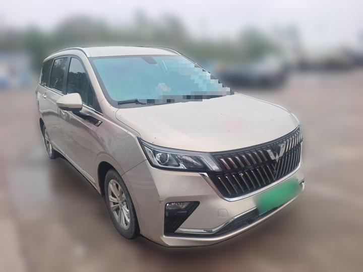 Wuling 2022 1.5T CVT Smart Luxury photo 3