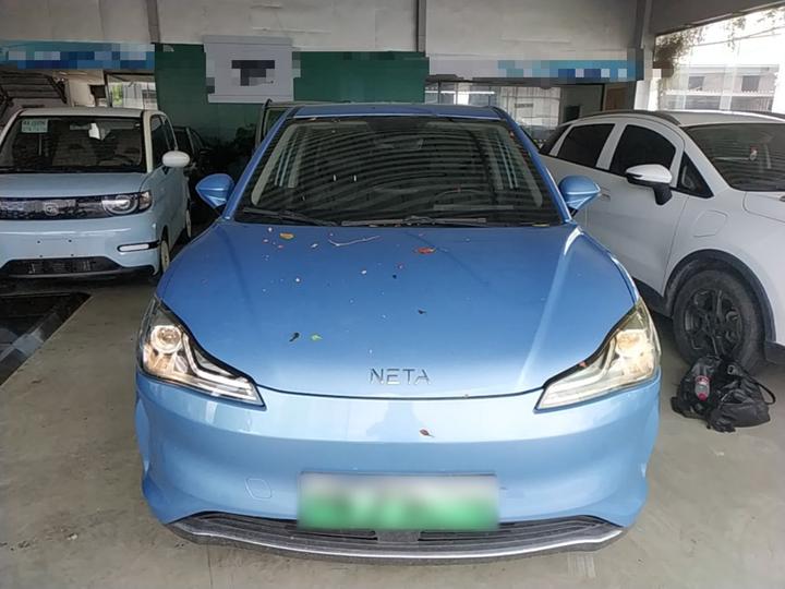 Neta V 2022 300 Lite LFP photo 2