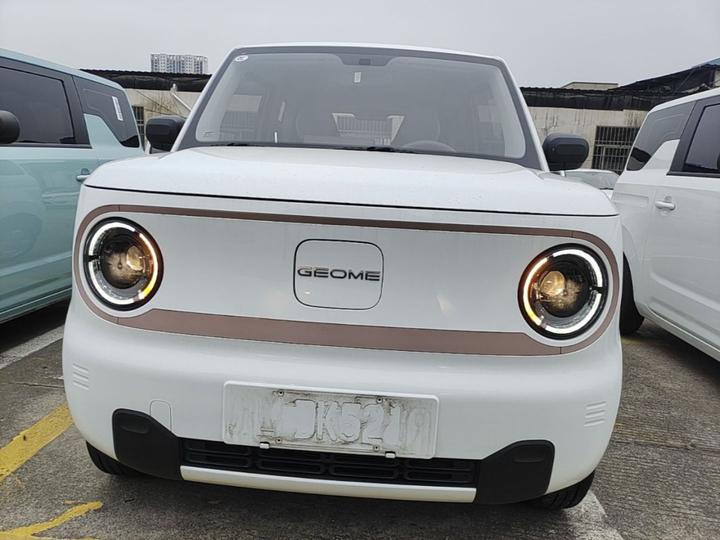 2023 Panda mini 200km Endurance Bear photo 2