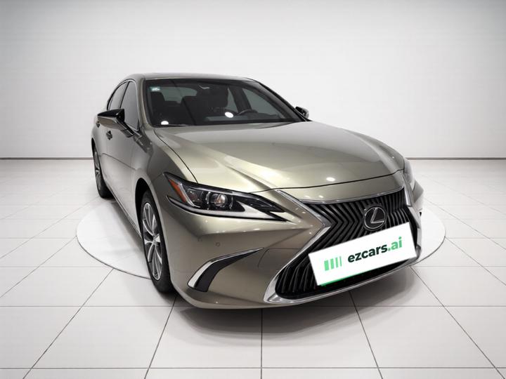 ES 2018 300h Excellence China VI photo 3