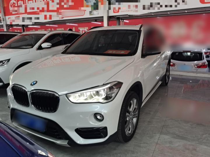 X1 2018 xDrive20Li Luxury photo 2