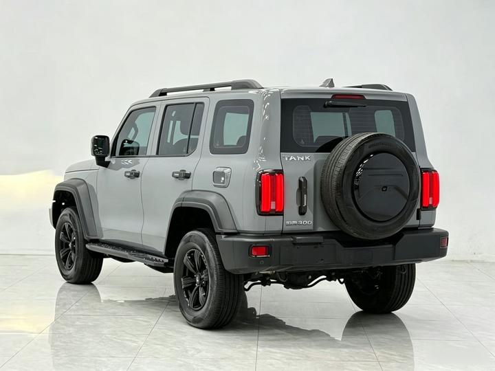 300 2021 Off-road 2.0T Conqueror photo 4