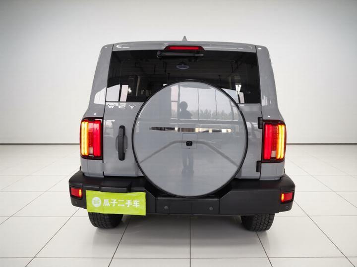 300 2021 Off-road 2.0T Conqueror photo 5