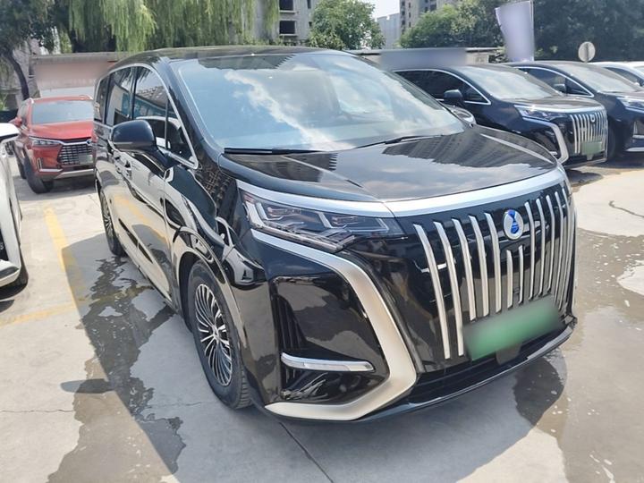 D9 2024 EV 600 AWD Flagship photo 3