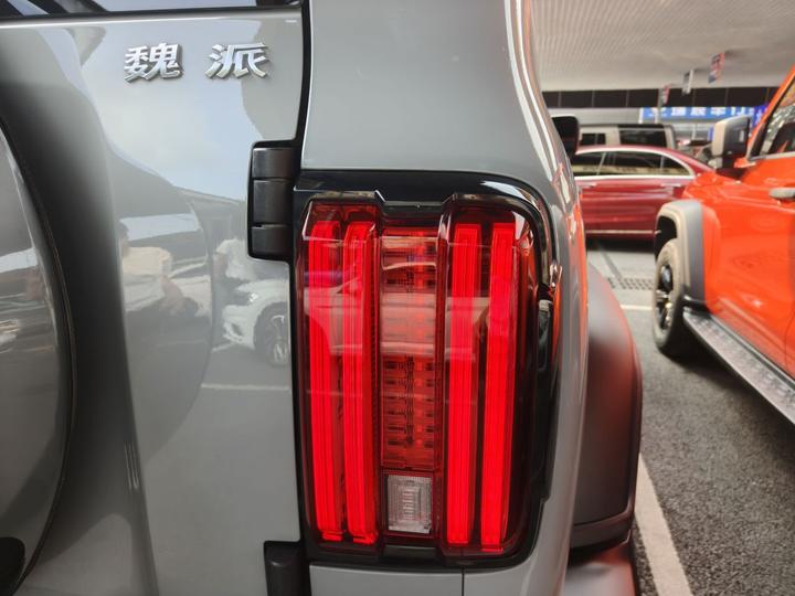 300 2021 Off-road 2.0T Conqueror photo 7