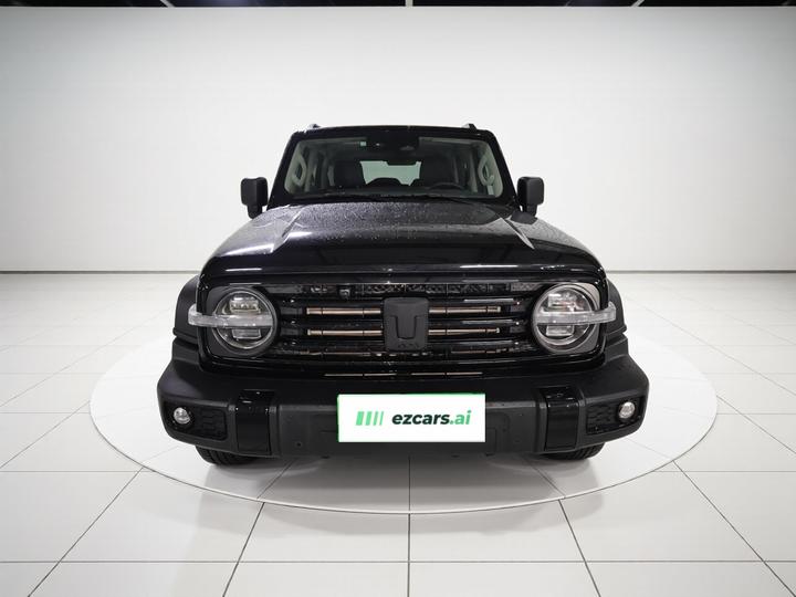 300 2021 Off-road 2.0T Conqueror photo 2