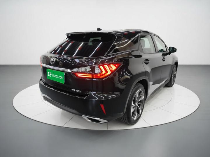 RX 2016 300 AWD Elegant China V photo 6