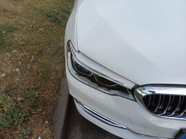 5 Series 2020 530Li Leading Luxury photo 4
