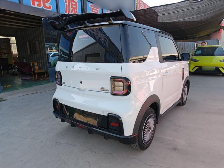 2024 200km Panda photo 6
