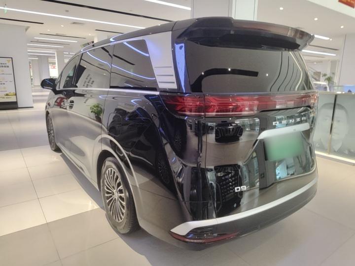 D9 2024 DM-i 980 AWD Noble photo 4