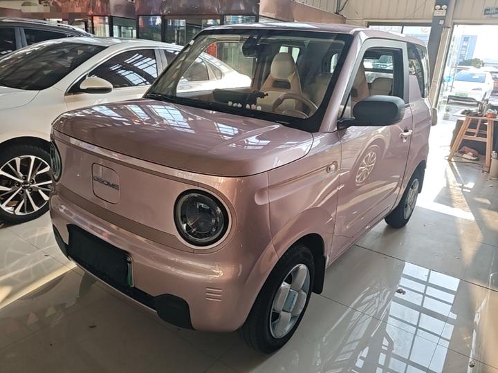 2023 Panda mini 200km Endurance Bear