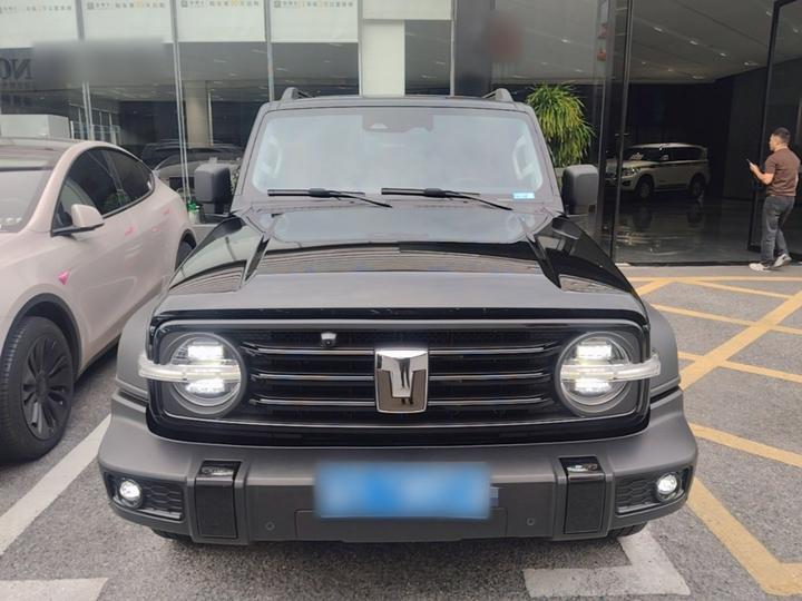 300 2024 2.0T Conqueror photo 2