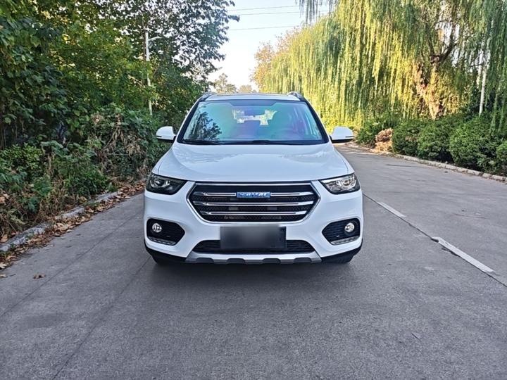 H6 2017 Blue Label Sport 1.5T AT RWD Luxury photo 2
