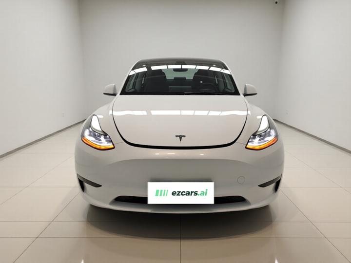 Model Y 2022 RWD photo 2