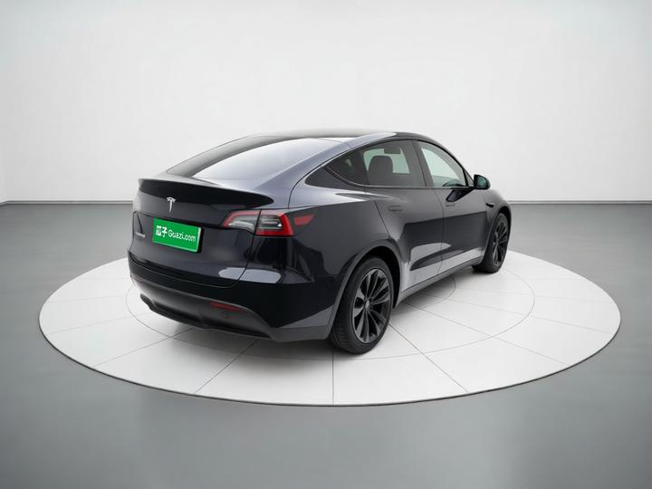 Model Y 2024 Long Range AWD photo 6
