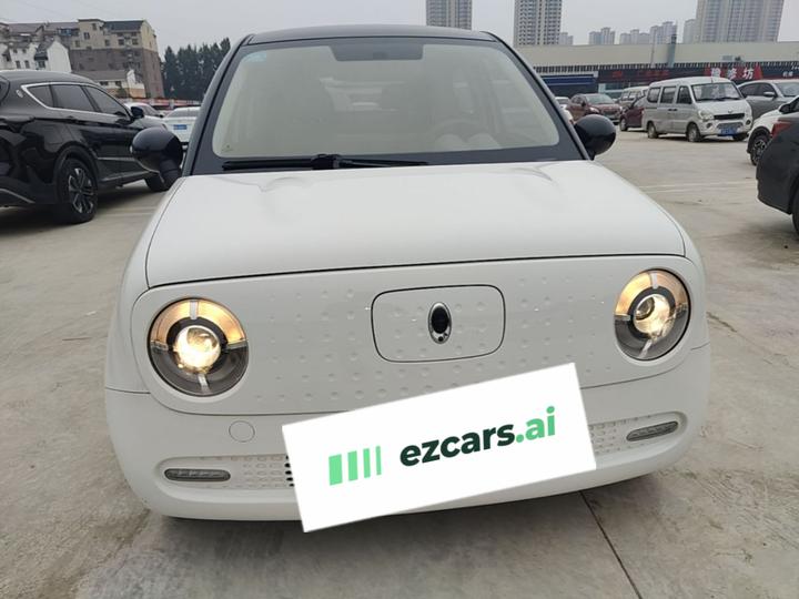 2019 351km photo 2