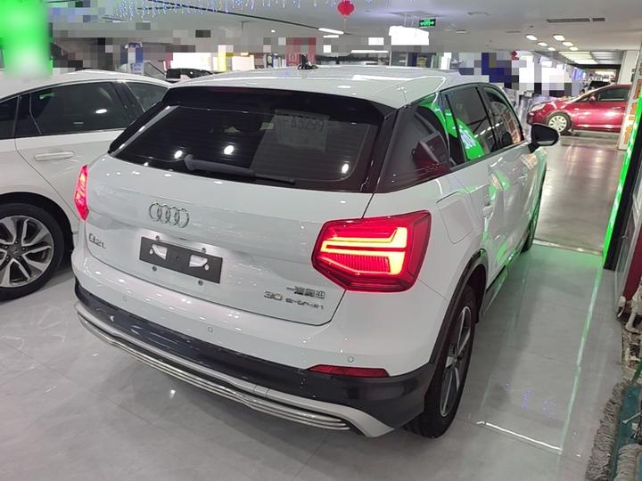 Q2L e-tron 2019 Q2L e-tron EV photo 4